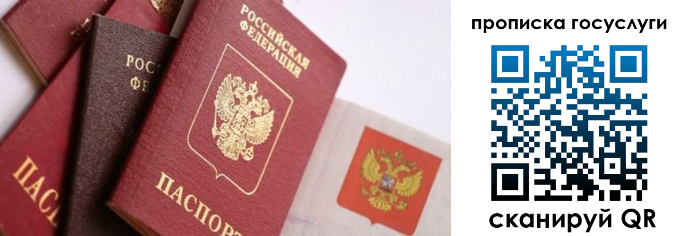 прописка законно в Октябрьском